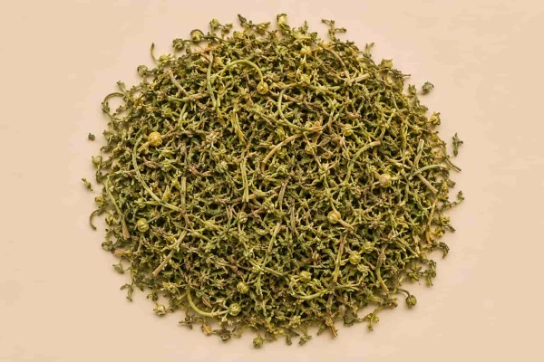 Αρτεμισία Artemisia annua Φυτό Κομμένο Αφέψημα Χονδρική
