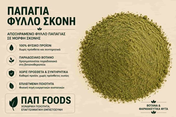 Παπάγια Φύλλο Σκόνη Βότανο Χονδρικής Παπάγια Φύλλο Σκόνη Βότανο Χονδρικής