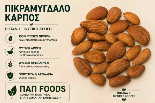 Πικραμύγδαλο Καρπός Βότανο Χονδρικής Πικραμύγδαλο Καρπός Βότανο Χονδρικής