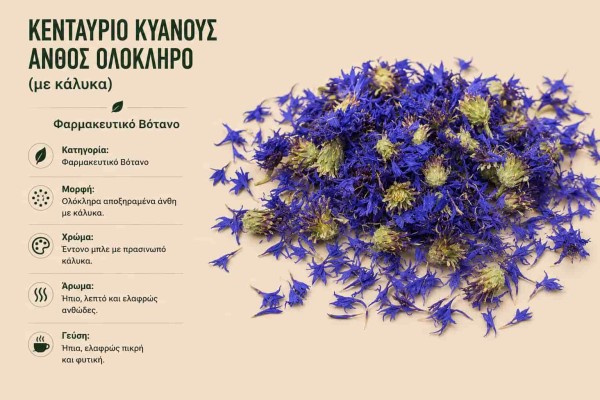 Κενταύριο Κυανούς Άνθος Ολόκληρο με Κάλυκα Φαρμακευτικό Βότανο Χονδρική