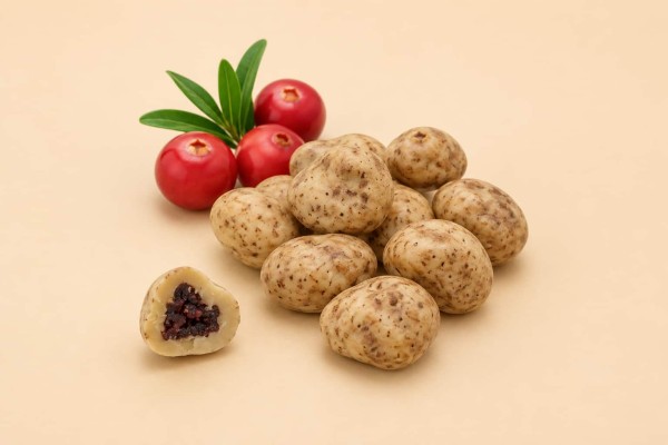 Dragée Cranberry με Κρέμα Βανίλιας και Κανέλα σε Κουτί 700g Χονδρικής Dragée Cranberry με Κρέμα Βανίλιας και Κανέλα σε Κουτί 700g Χονδρικής