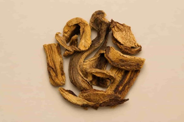 Μανιτάρι Porcini Φέτες Χονδρική Μανιτάρι Porcini Φέτες Χονδρική
