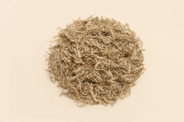 Usnea Barbata (Λειχήνα) Φαρμακευτικό Φυτό Κομμένο Χονδρική