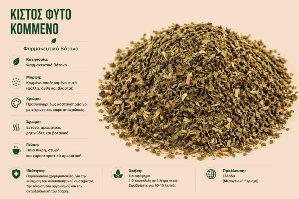Κίστος Φυτό Κομμένο Φαρμακευτικό Βότανο Χονδρική