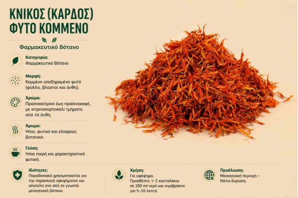 Κνίκος Κάρδος Φυτό Κομμένο Φαρμακευτικό Βότανο Χονδρική