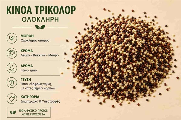 Κινόα Τρίχρωμη Τρίχρωμο Μείγμα Tri Color Quinoa Χονδρικής Κινόα Τρίχρωμη Τρίχρωμο Μείγμα Tri Color Quinoa Χονδρικής